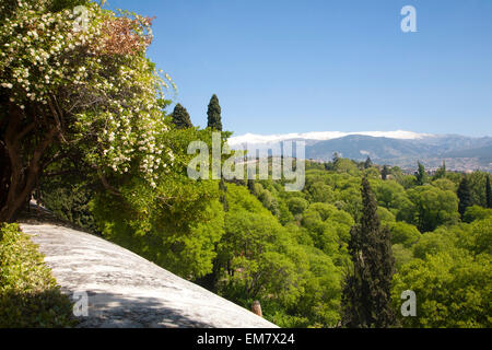 Schneebedeckten Bergen der Sierra Nevada angesehen von der Alhambra, Granada, Spanien Stockfoto