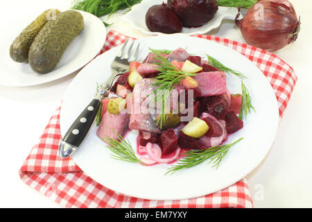 Matie Salat mit rote Beete, Zwiebeln und Gurken Stockfoto