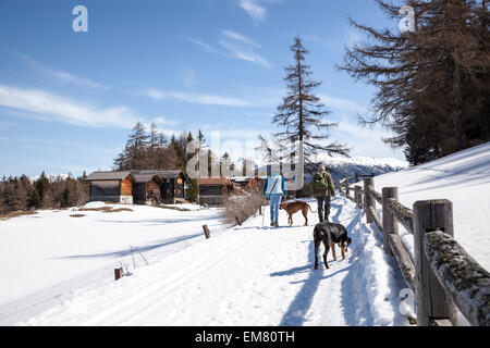 Paare, die ihre Hunde in einer Winterlandschaft in den Schweizer Alpen Stockfoto