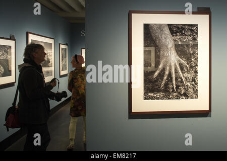 Berlin, Deutschland. 17. April 2015. Besucher schauen Sie sich die Ausstellung des Projektes "Genesis" von Fotograf Sebastião Salgado im c/o Galerie in Berlin, Deutschland, 17. April 2015. Foto: MAURIZIO GAMBARINI/Dpa/Alamy Live News Stockfoto