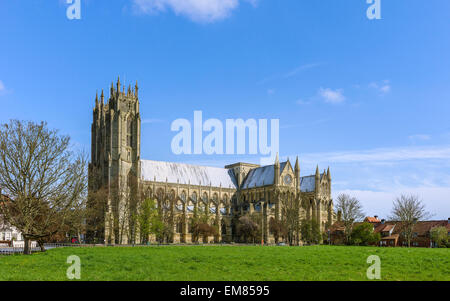 Die alten 13. Jahrhundert Beverley Minster auf ein schöner sonniger Morgen im Frühjahr, Beverley, Yorkshire, Großbritannien. Stockfoto