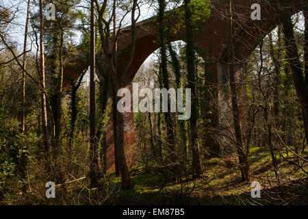 Das Foegoesburn-Viadukt, das der Feind geht brennen in der Grafschaft Durham überquert. Stockfoto