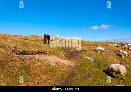 Wanderer in der Nähe von Maghera, Ardara, County Donegal, Irland Stockfoto