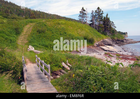 Forillon Nationalpark Gaspesie Quebec Stockfoto