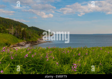 Forillon Nationalpark Gaspésie Québec Stockfoto