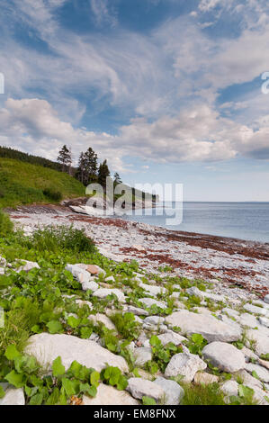 Strand Forillon Nationalpark Gaspésie Stockfoto