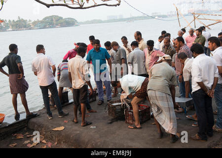 Fischer bringen und verkaufen die Tage fangen, Fort Kochi Kerala Indien Stockfoto