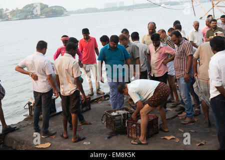 Fischer bringen und verkaufen die Tage fangen, Fort Kochi Kerala Indien Stockfoto