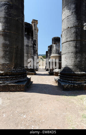 Blick auf den Wald von Spalten am Ostende (hinten) der ionische Tempel der Artemis. Sardes, Sart, Türkei. Eintritt in die templ Stockfoto