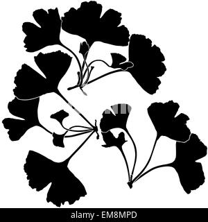 Ginkgo-Silhouetten Stock Vektor