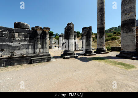 Blick auf den Wald von Spalten am Ostende (hinten) der ionische Tempel der Artemis. Sardes, Sart, Türkei. Eintritt in die templ Stockfoto