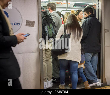 Drängen sich Passagiere in einer u-Bahn in der Times Square Station am Donnerstag, 16. April 2015 in New York. (© Richard B. Levine) Stockfoto