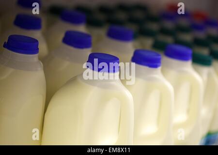 Kunststoff-Milchflaschen auf einem Supermarktregal Stockfoto