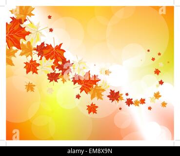 Ahornblätter im Herbst Stock Vektor