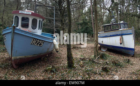 Leigh Woods, North Somerset, in der Nähe von Bristol, England, Vereinigtes Königreich 17. April 2015 5 Angelboote/Fischerboote haben gestrandet in den Wäldern als Bestandteil einer Kunstinstallation von Bristol basierte Künstler Luke Jerram. Es nennt sich zurückgezogen und hofft, den Klimawandel und die Notlage der Fischwirtschaft im Jahr 2015 im Jahr aufmerksam in dem Bristol European Green Capital ist. Es eröffnet offiziell am Samstag, 18. April.  Carolyn Eaton / Alamy Live News Stockfoto