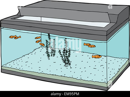 Aquarium mit geöffnetem Deckel und Goldfische schwimmen Stockfoto