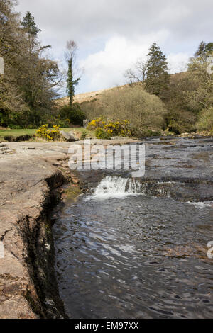 Tal des Flusses Avon, South Brent, South Devon Stockfoto