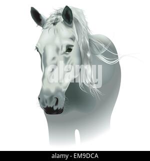White Horse Stock Vektor
