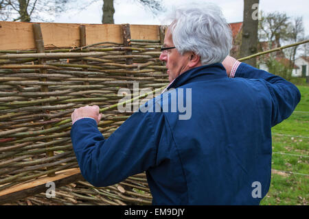 Handwerker machen traditionelle Flechtwerk Zaun durch Weben dünnen Weidenruten Stockfoto
