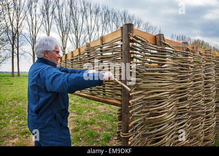 Handwerker machen traditionelle Flechtwerk Zaun durch Weben dünnen Weidenruten Stockfoto