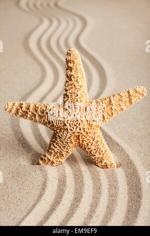 Sterne in den Sand zu stecken, kann als Hintergrund verwendet werden Stockfoto