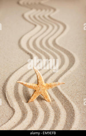 Sterne in den Sand zu stecken, kann als Hintergrund verwendet werden Stockfoto