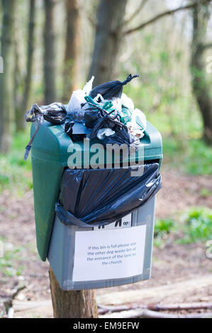 Hund öffentliche Abfallbehälter überfüllt Stockfoto