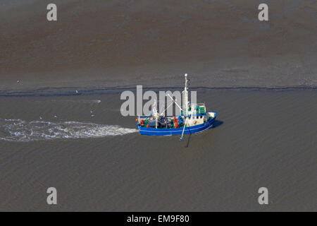 Luftaufnahme des blauen Garnelen Trawler Bootsfischerei für Garnelen nahe dem Strand entlang der Küste Stockfoto