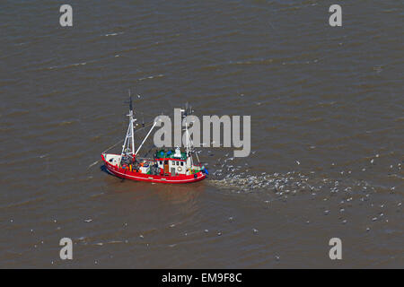 Luftaufnahme des red Garnelen Trawler Bootsfischerei für Garnelen auf dem Meer gefolgt von Möwen Stockfoto