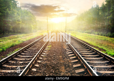 Nebel über Eisenbahn in Wald bei Sonnenaufgang Stockfoto