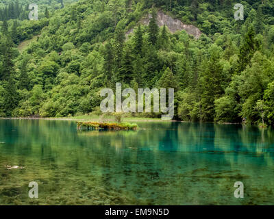 Five Flower Lake im Jiuzhaigou Valley National Park in China Stockfoto