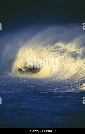 Stürmischen Ozean Wave Curling über mit Tünche und ein Barrel bilden Stockfoto