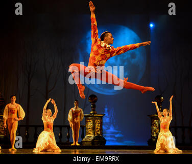 In Johannesburg. 17. April 2015. Tänzerinnen der Liaoning Ballet of China und Joburg Ballett in Südafrika führen "Schwanensee" im Teatro Joburg in Johannesburg, Südafrika. "Swan Lake", präsentiert von Joburg Ballett und Liaoning Ballet of China, debütierte hier am Freitag. Als Highlight Event im Jahr Chinas in Südafrika soll der Co präsentiert "Schwanensee" in Johannesburg und Bloemfontein zwanzig Mal insgesamt in den kommenden Tagen gezeigt werden. © Zhai Jianlan/Xinhua/Alamy Live-Nachrichten Stockfoto