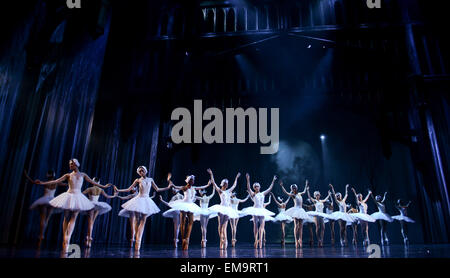 In Johannesburg. 17. April 2015. Tänzerinnen der Liaoning Ballet of China und Joburg Ballett in Südafrika führen "Schwanensee" im Teatro Joburg in Johannesburg, Südafrika. "Swan Lake", präsentiert von Joburg Ballett und Liaoning Ballet of China, debütierte hier am Freitag. Als Highlight Event im Jahr Chinas in Südafrika soll der Co präsentiert "Schwanensee" in Johannesburg und Bloemfontein zwanzig Mal insgesamt in den kommenden Tagen gezeigt werden. © Zhai Jianlan/Xinhua/Alamy Live-Nachrichten Stockfoto