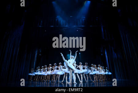 In Johannesburg. 17. April 2015. Tänzerinnen der Liaoning Ballet of China und Joburg Ballett in Südafrika führen "Schwanensee" im Teatro Joburg in Johannesburg, Südafrika. "Swan Lake", präsentiert von Joburg Ballett und Liaoning Ballet of China, debütierte hier am Freitag. Als Highlight Event im Jahr Chinas in Südafrika soll der Co präsentiert "Schwanensee" in Johannesburg und Bloemfontein zwanzig Mal insgesamt in den kommenden Tagen gezeigt werden. © Zhai Jianlan/Xinhua/Alamy Live-Nachrichten Stockfoto