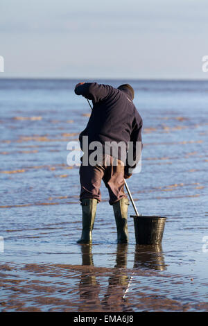 Southport, Merseyside, UK. 18. April 2015. UK Wetter: Köder Fischer die Ebbe in der Morgendämmerung. Als die Flut wird dann die Suche nach Köder wird einfacher als die Fischer mit einem Köder Pumpe keine Würmer, die Oberfläche Aktivität zu extrahieren. Diese Würmer, entweder lug oder weißer Lappen Wurm, werden dann für einen Club boot Angeltour am folgenden Tag, eine übliche traditionelle Sonntag Aktivität verwendet wird. Stockfoto