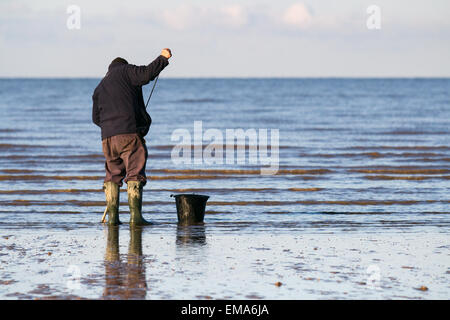 Southport, Merseyside, UK. 18. April 2015. UK Wetter: Köder Fischer die Ebbe in der Morgendämmerung. Als die Flut wird dann die Suche nach Köder wird einfacher als die Fischer mit einem Köder Pumpe keine Würmer, die Oberfläche Aktivität zu extrahieren. Diese Würmer, entweder lug oder weißer Lappen Wurm, werden dann für einen Club boot Angeltour am folgenden Tag, eine übliche traditionelle Sonntag Aktivität verwendet wird. Stockfoto