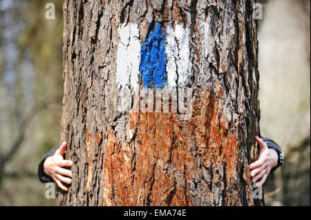 Menschliche Hände umarmen einen Baum mit einem blauen Streifen Wandern Wanderweg markiert Stockfoto