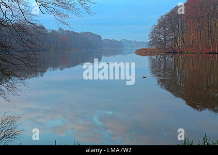 Enten-Kreuzung faul in den warmen Nachmittag. Der See ist wie ein Spiegel und alles ist ruhig. Stockfoto