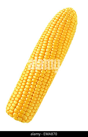 Einzigen Mais isoliert auf weißem Hintergrund Stockfoto