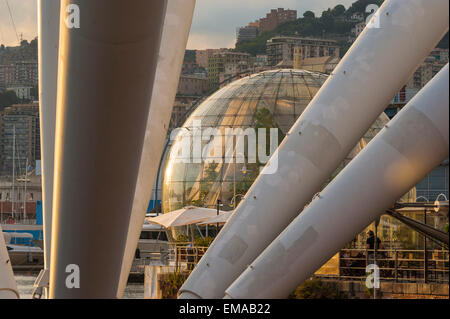 Genua Bigo Biosphäre, Ansicht der Biosfera gelegen hinter dem massiven Verstrebungen von Il Bigo im Hafen von Genua, Genua, Italien. Stockfoto