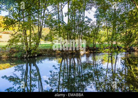 Reflexion im Fluss Tauber im schönen Taubertal in der Nähe von Rothenburg Stockfoto