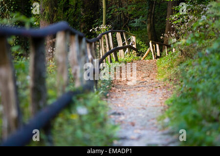 Ein Wanderweg durch den Wald neben einem Handlauf im warmen Abendlicht. In der Nähe von Monschau in der Eifel, Deutschland übernommen. Stockfoto