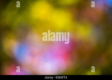 Farbigen Hintergrund mit defokussierten Lichter Stockfoto