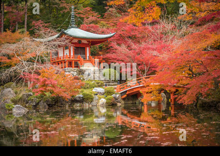 Daigoji Tempel in Ahornbäume, Momiji Saison, Kyoto, Japan Stockfoto