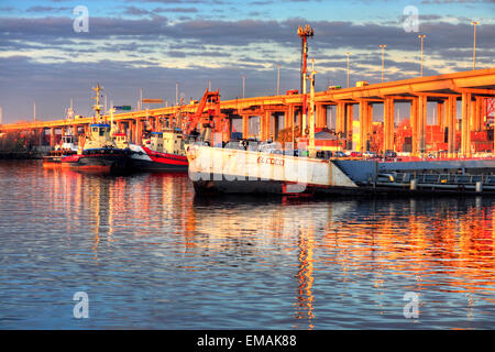 Baggerarbeiten, Schiffe Bebakung und Cargo am Hafen Demarchi Insel, River Plate Küste. Buenos Aires, Argentinien Stockfoto