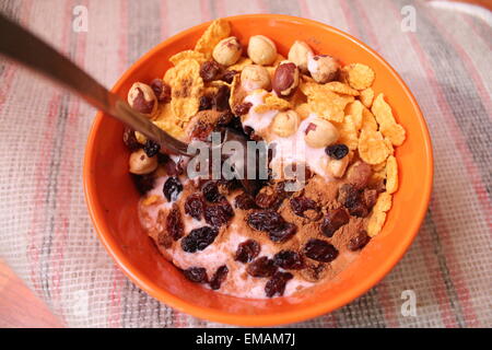 appetitlich gesundes Frühstück Cornflakes, Rosinen, Hasel Nuss unter Blackberry Joghurt Stockfoto