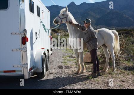 Immer mein Pferd bereit für einen Ausritt in die Sandia Berge von New-Mexico - USA Stockfoto