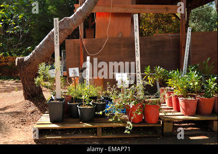 Malta, die Gaia Foundation, Gärtnerei Stockfoto