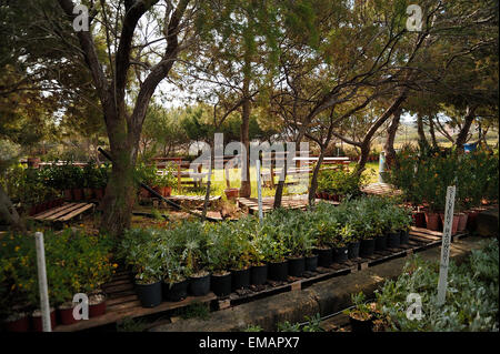 Malta, die Gaia Foundation, Gärtnerei Stockfoto